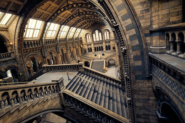 洗發(fā)水品牌排行榜前五，銳琛洗護品牌強韌發(fā)根受好評